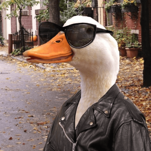Patos e afins..  21