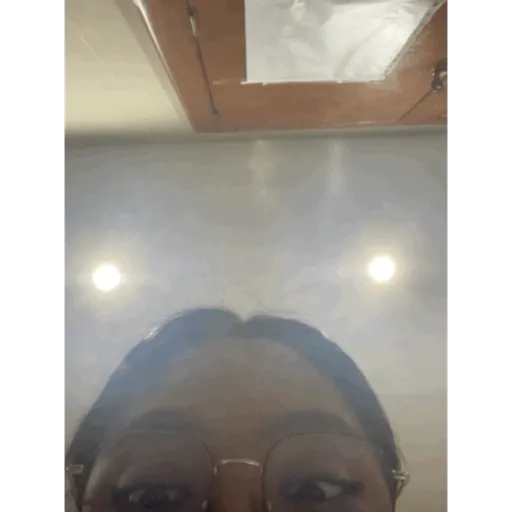 Gif 7
