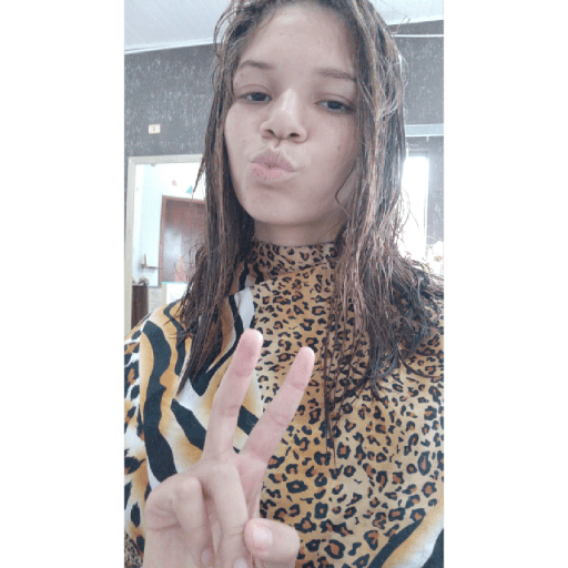 Cheguei 1