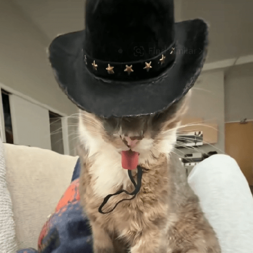 Meme Kucing #8