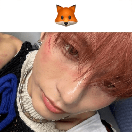ׄ ͏ osumi  𖹭 8