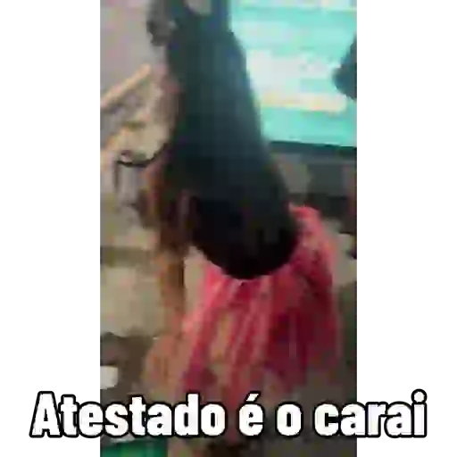 Sextou 10