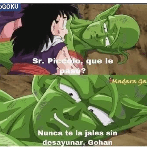 Dragón ball 14