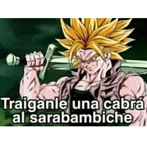 Dragón ball 22