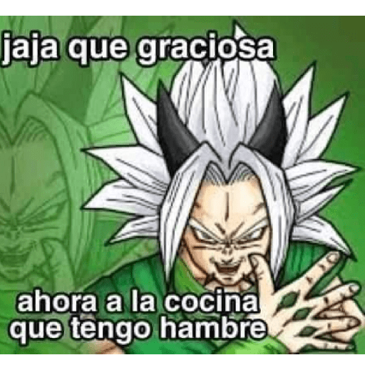 Dragón ball 13