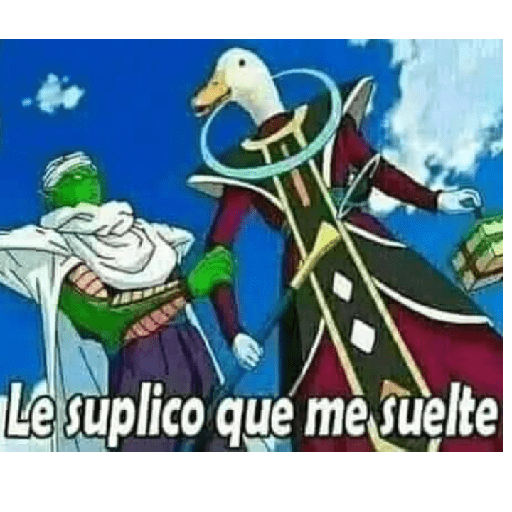 Dragón ball 24