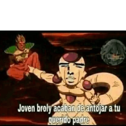 Dragón ball 28