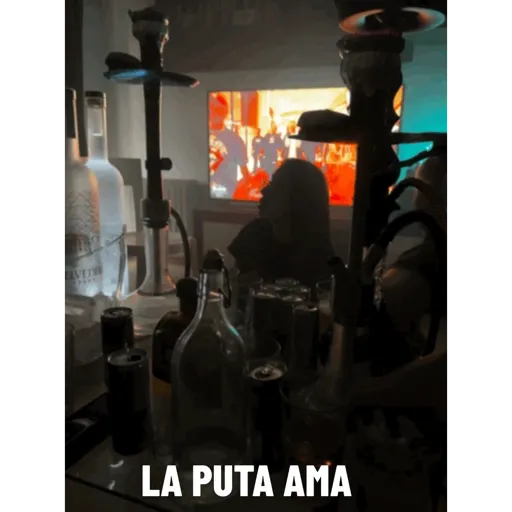 Vane 27