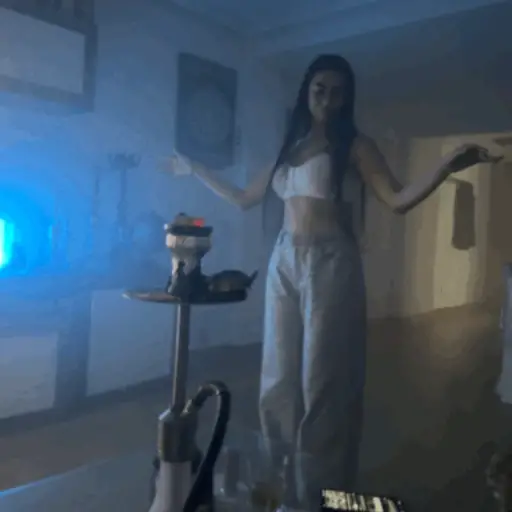 Vane 14