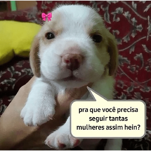 Figurinha  17