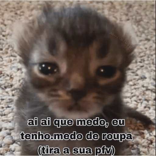 Figurinha  19
