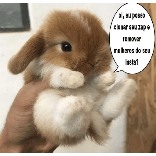 Figurinha  20