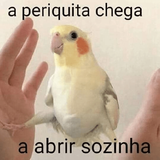 Figurinha  27