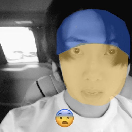 Bts fetus 18