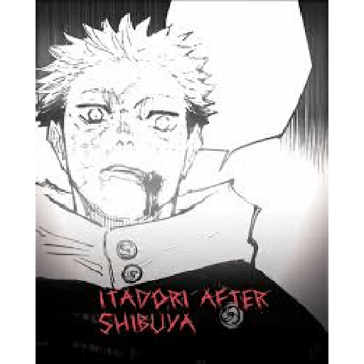 Jujutsu kaisen  8