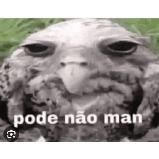 QUALQUER COISA 10