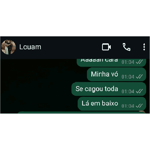 QUALQUER COISA 2