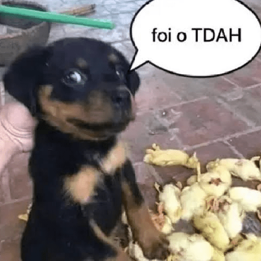 QUALQUER COISA 17