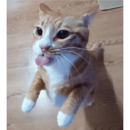 Meow 2