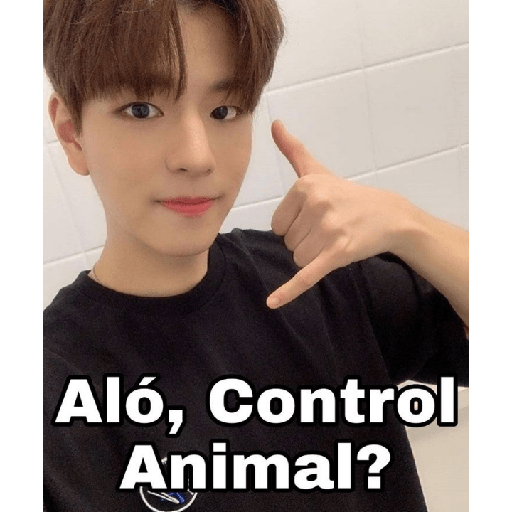 Kpop texto 6 22