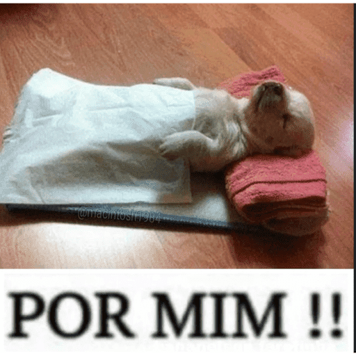 Minhas figurinhas 19