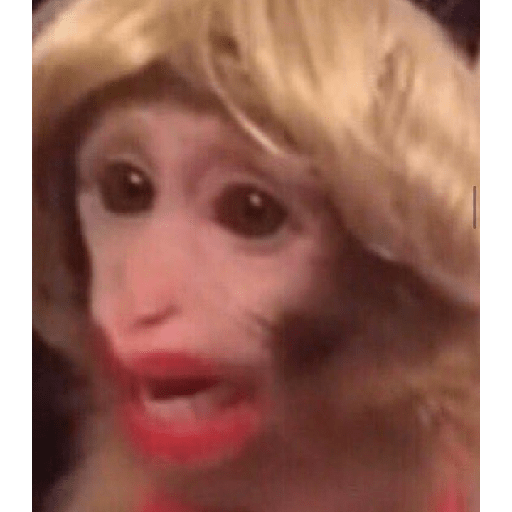 Stika 6